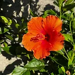 Holiday home Casa Frutales - Mit Garten Nahe Und