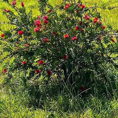 Casa Frutales Escaselas Holiday home *