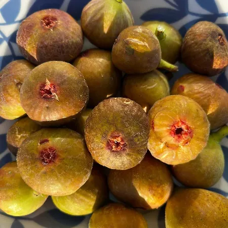 Casa Frutales - Mit Obst- Und Blumengarten Nahe Bei Finisterre