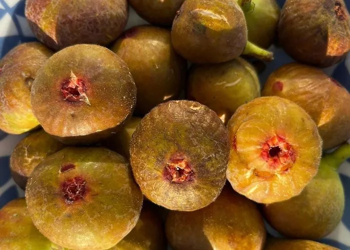 Casa Frutales - Mit Obst- Und Blumengarten Nahe Bei Finisterre
